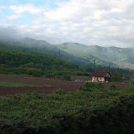Vila Gosen Sard ภายนอก รูปภาพ